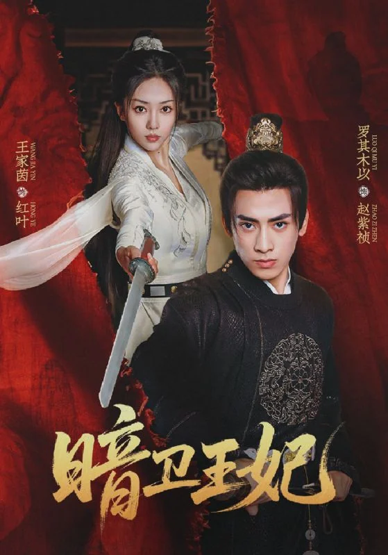 暗卫王妃作品宣传图
