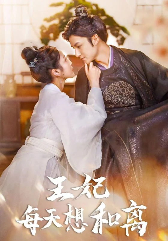 王妃每天想和离作品宣传图