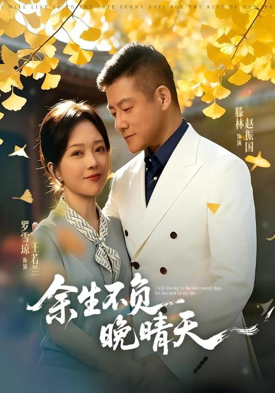 余生不负晚晴天作品宣传图