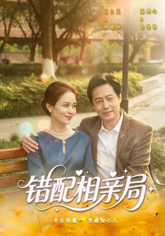 错配相亲局作品宣传图