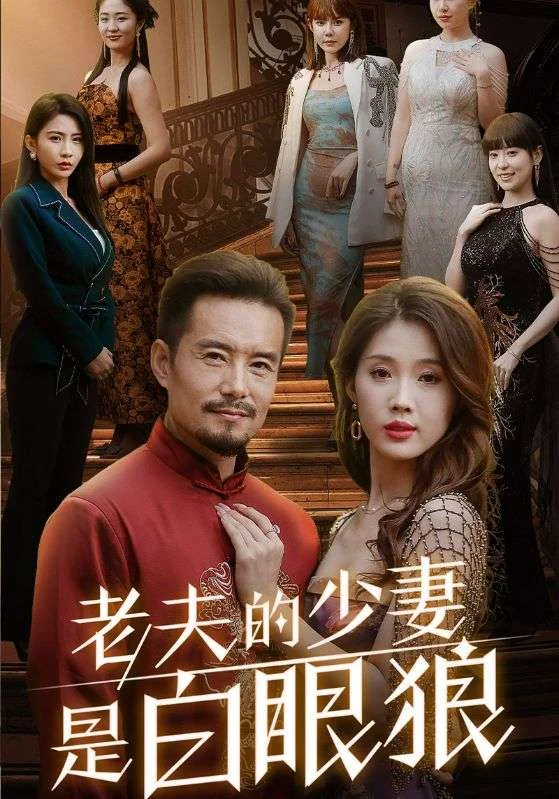 老夫的少妻是白眼狼作品宣传图