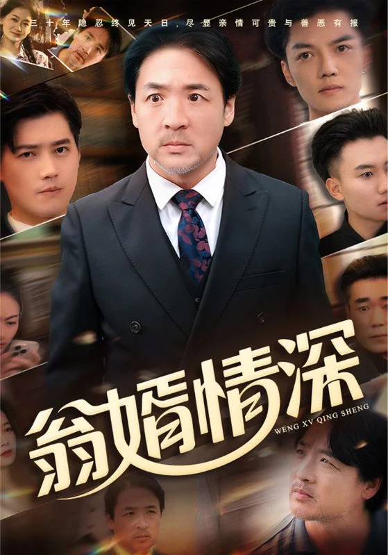 翁婿情深作品宣传图