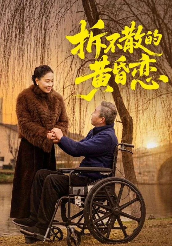 拆不散的黄昏恋作品宣传图